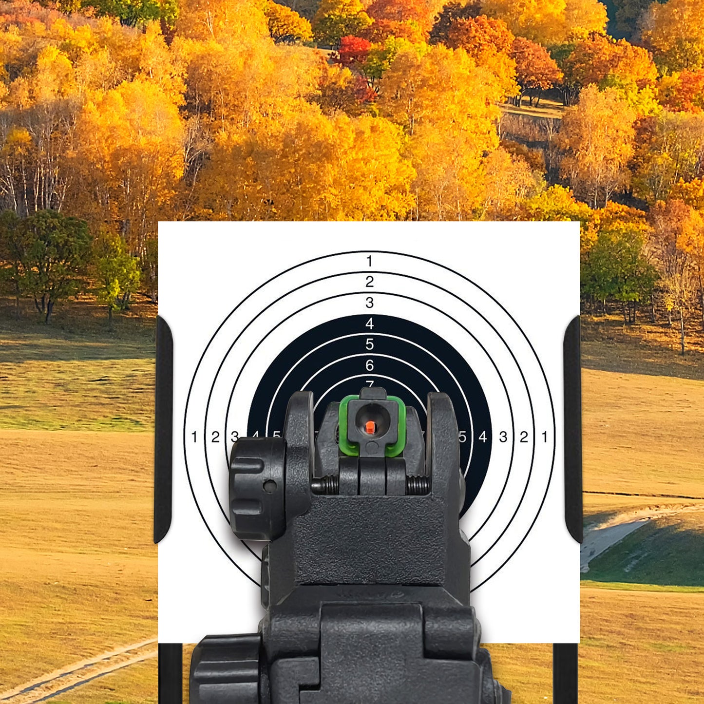 Fiber Optic Flip Up Sights for Picatinny Rails